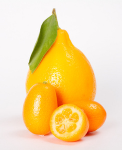 塔什干柠檬和孤立的白色背景上的金橘