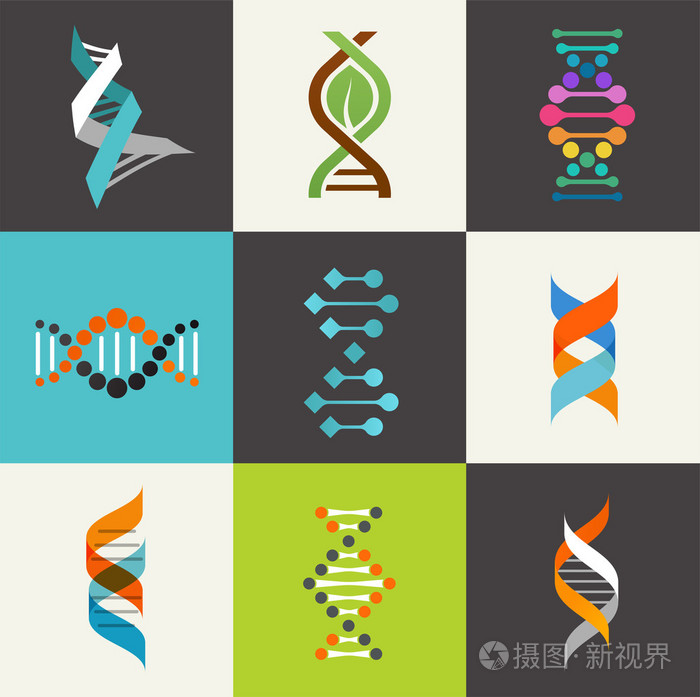 dna 遗传因素和图标集合