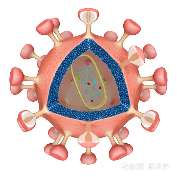 hiv病毒细胞