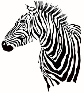 斑马剪影的动物插图