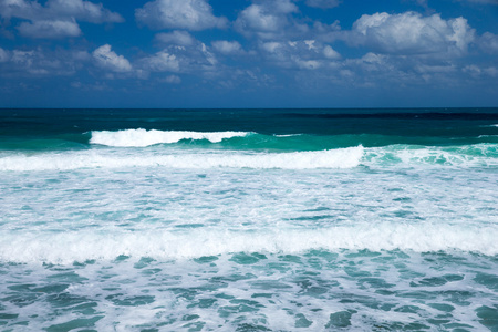 海滩和热带海