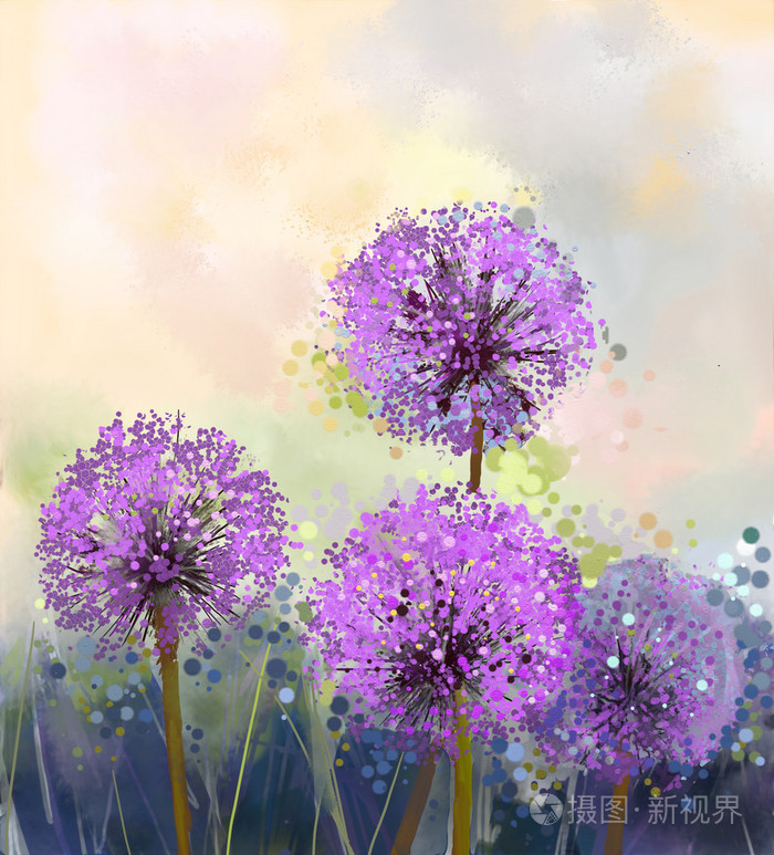 油画紫色洋葱花.春天的花卉自然背景