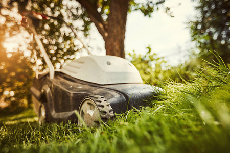 一个阳光明媚的夏日割草机修剪草坪