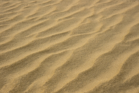 在夏天的海滩的沙子模式的特写