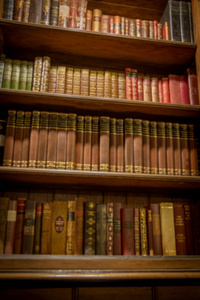 书架上有书。家庭图书馆。照片模糊
