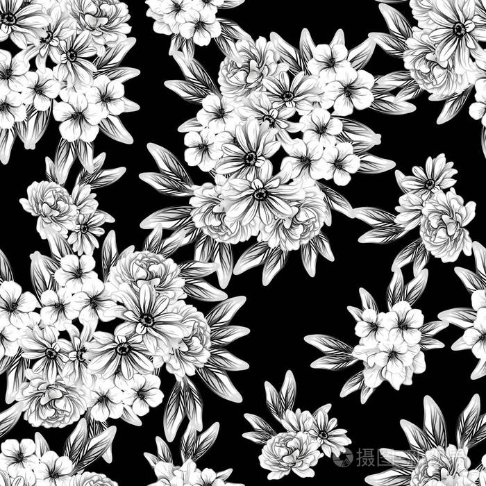 无缝复古风格的花卉图案.黑白相间的花元素插画-正版商用图片0bm6ud-