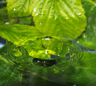 雨水的拖放