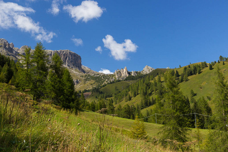 牧场在白云岩阿尔卑斯, 南 Tirol, 意大利