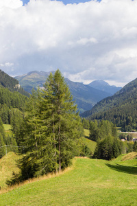 牧场在阿尔卑斯, 南 Tirol, 意大利