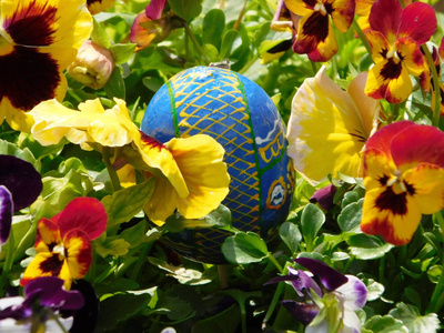隐藏在花丛中的蓝色复活节彩蛋