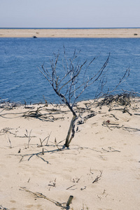 查帕奎迪克海滩