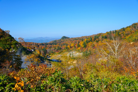 八岛台山红叶