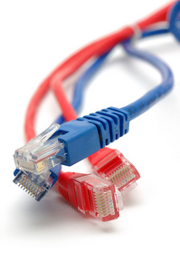 蓝色和红色网络电缆插头