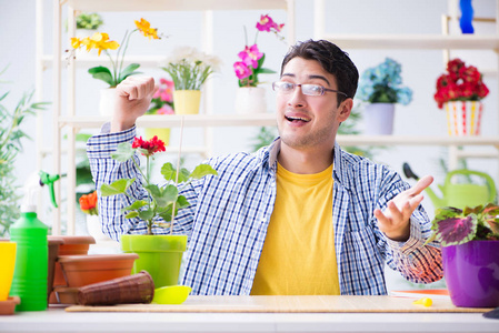 在一家花店与房子植物工作的园丁花店