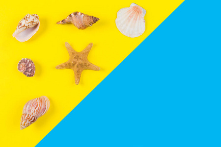 贝壳和海星蓝色和黄色的背景上。度假 旅行 夏天概念