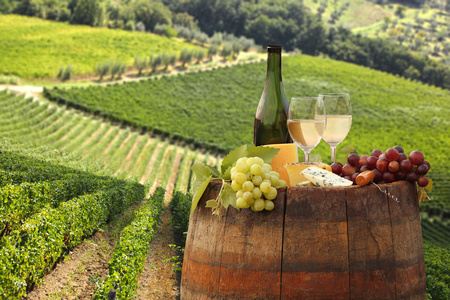 白色带瓶葡萄酒的葡萄园在托斯卡纳，基安蒂意大利每桶
