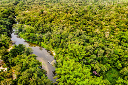 南美洲亚马逊雨林的鸟瞰图