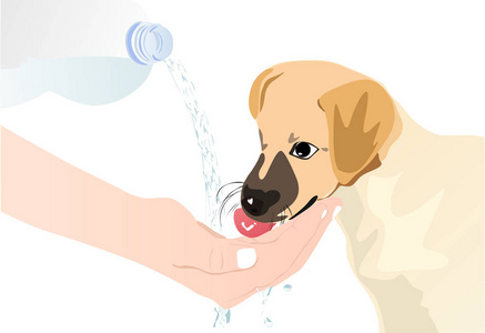给狗的人给水