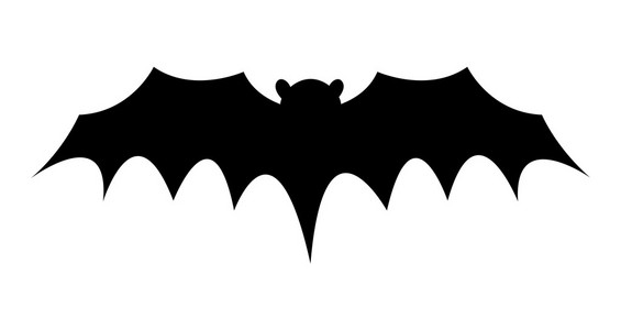 吸血蝙蝠飞行形状