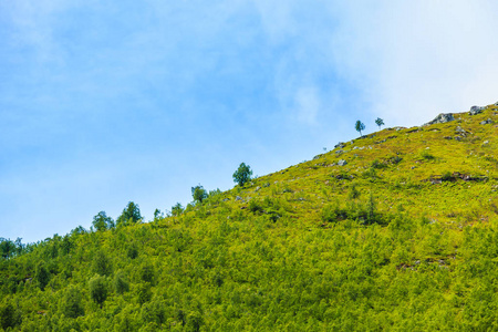 在挪威的夏山景观。