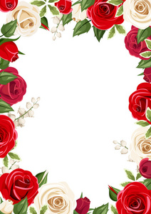 帧背景与红色和白色的玫瑰花。矢量图