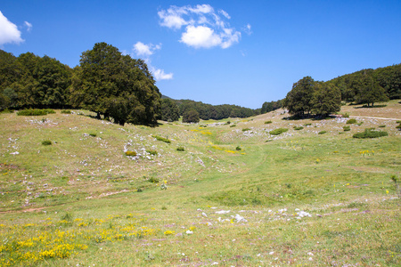 夏天山风景