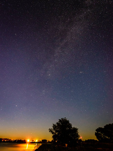 美丽的银河系，夜晚的天空上的树的剪影