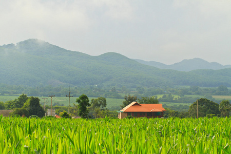 雾山风景