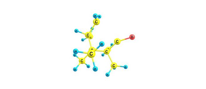 樟脑分子结构在白色背景下的分离