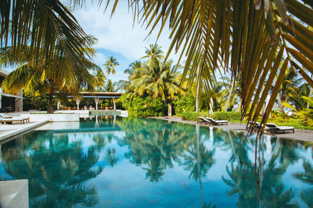 美丽的无边池与棕榈在美丽的度假村在天堂岛的背景