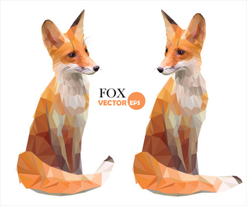 一套两个照片的各种姿势的可爱的红狐狸卡通