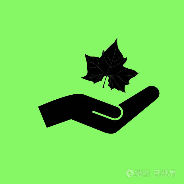 绿色背景下的枫叶剪影和手向量插图
