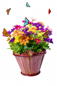 花在锅和蝴蝶