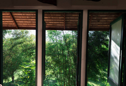 三个大的打开窗口与竹树看法