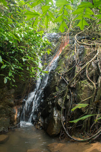 泰国普吉岛森林瀑布
