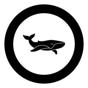 鲸鱼黑色图标在圈子里图片