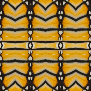 黄色无缝模式由五颜六色的蝴蝶翼 ba