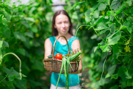 年轻女子在温室持有一篮子的绿化区和洋葱