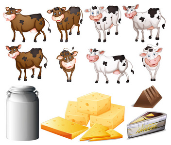 奶牛和乳制品