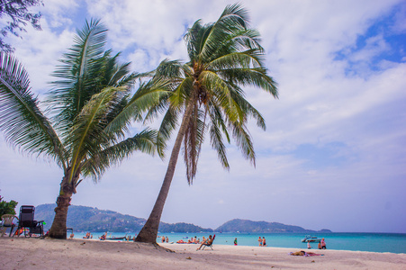 椰子树在华欣海滩上