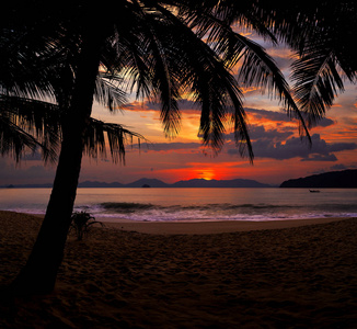 日落海滩与棕榈树和美丽的天空