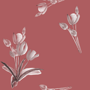 无缝模式的郁金香与灰色和米色花深粉红色的背景上。水彩