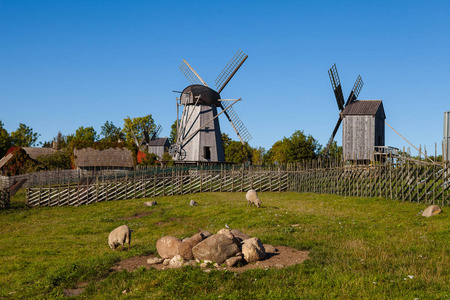 传统的 Saaremaa 岛，爱沙尼亚的木制风车。放牧绵羊在前景阳光秋季的一天