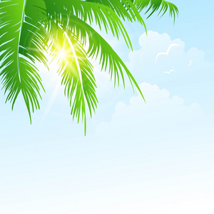 暑假矢量背景与棕榈叶和海