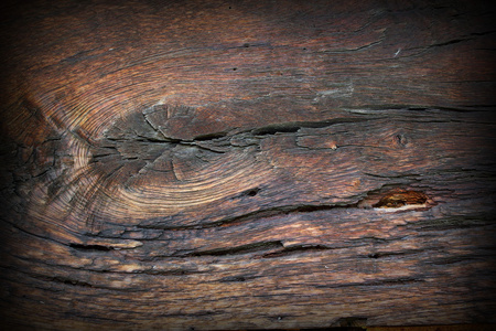 老橡树木材表面