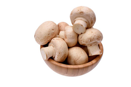 白蘑菇香菇躺在一只木杯，一个白色的背景上孤立