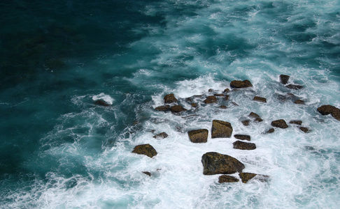 野生海