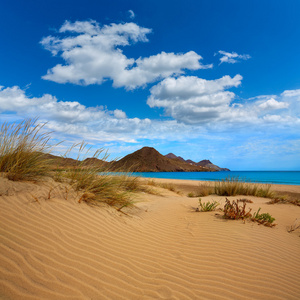 阿尔梅里亚普拉亚 Genoveses 海滩 Cabo de Gata