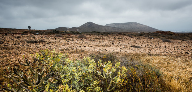 山风景