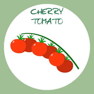 樱桃番茄中平面样式的图标。矢量图